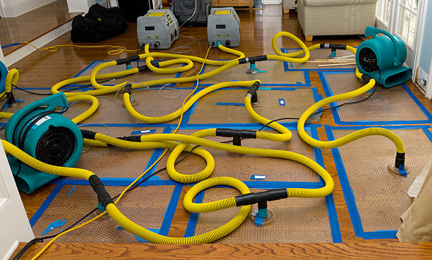 Professional Burst Pipe Water Damage technician working in Alvada, OH