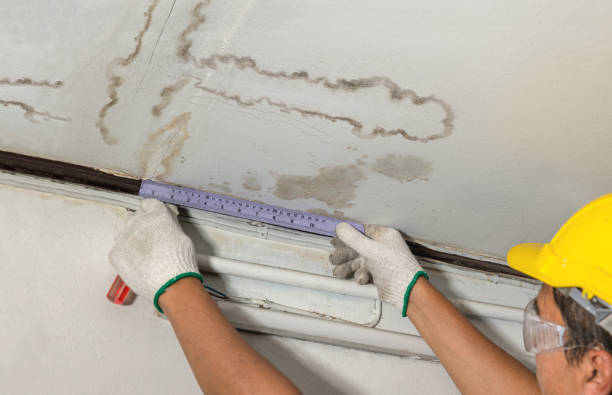 Affordable Water Damage Repair solutions in Alvada, OH